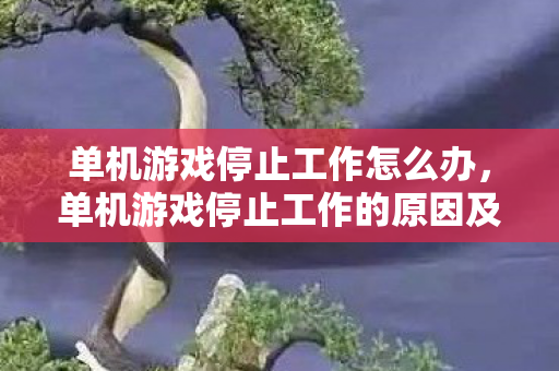 单机游戏停止工作怎么办,单机游戏停止工作的原因及解决方法 单机游戏停止工作怎么办,单机游戏停止工作的原因及解决方法