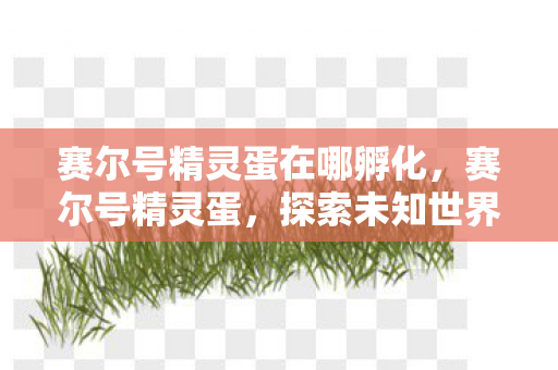 赛尔号精灵蛋在哪孵化,赛尔号精灵蛋,探索未知世界的神秘之旅 赛尔号精灵蛋在哪孵化,赛尔号精灵蛋,探索未知世界的神秘之旅