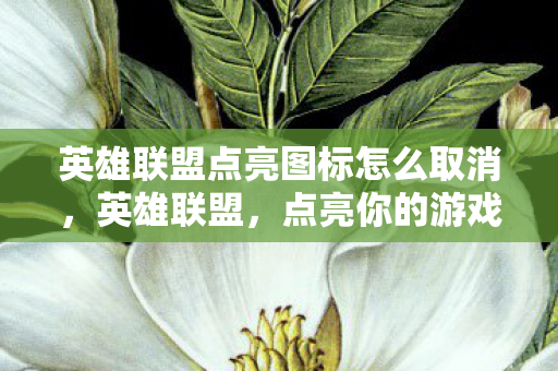 英雄联盟点亮图标怎么取消，英雄联盟，点亮你的游戏图标，展现独特个性