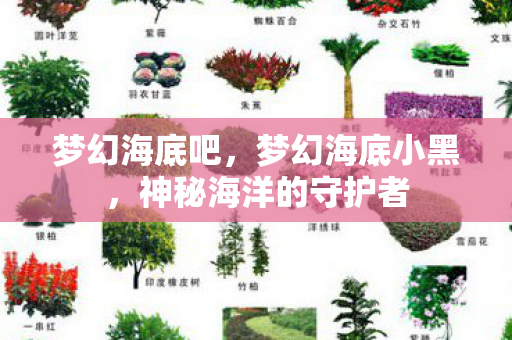 梦幻海底吧,梦幻海底小黑,神秘海洋的守护者 梦幻海底吧,梦幻海底小黑,神秘海洋的守护者