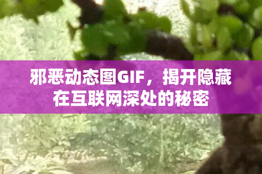 邪恶动态图GIF,揭开隐藏在互联网深处的秘密 邪恶动态图GIF,揭开隐藏在互联网深处的秘密