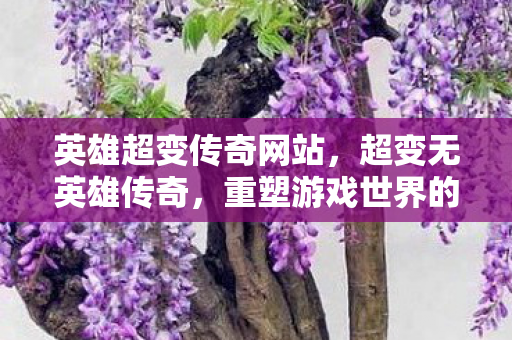 英雄超变传奇网站,超变无英雄传奇,重塑游戏世界的无限可能 英雄超变传奇网站,超变无英雄传奇,重塑游戏世界的无限可能