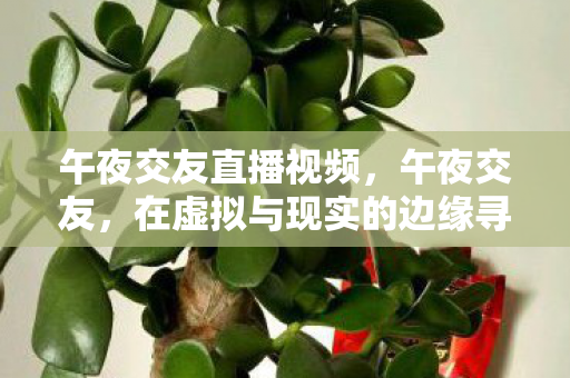 午夜交友直播视频，午夜交友，在虚拟与现实的边缘寻找共鸣