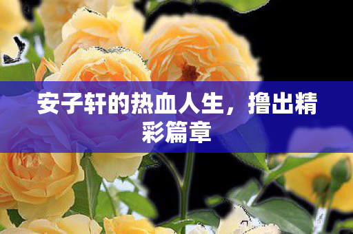 安子轩的热血人生,撸出精彩篇章 安子轩的热血人生,撸出精彩篇章