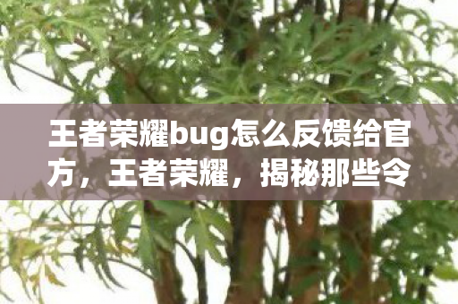 王者荣耀bug怎么反馈给官方,王者荣耀,揭秘那些令人头疼的BUG 王者荣耀bug怎么反馈给官方,王者荣耀,揭秘那些令人头疼的BUG