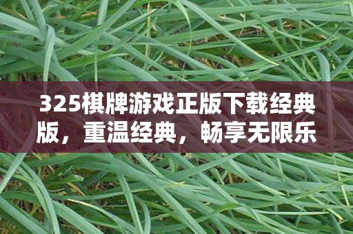 325棋牌游戏正版下载经典版,重温经典,畅享无限乐趣 325棋牌游戏正版下载经典版,重温经典,畅享无限乐趣
