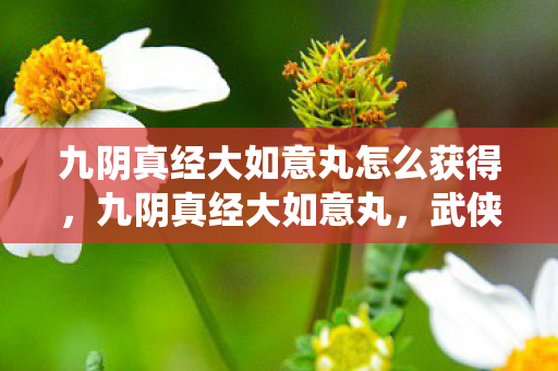 九阴真经大如意丸怎么获得,九阴真经大如意丸,武侠世界中的神秘仙丹 九阴真经大如意丸怎么获得,九阴真经大如意丸,武侠世界中的神秘仙丹