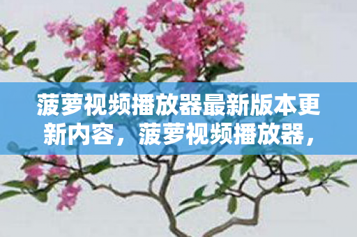 菠萝视频播放器最新版本更新内容,菠萝视频播放器,打造个性化观影体验 菠萝视频播放器最新版本更新内容,菠萝视频播放器,打造个性化观影体验