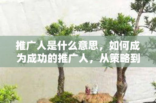 推广人是什么意思,如何成为成功的推广人,从策略到实践的全面指南 推广人是什么意思,如何成为成功的推广人,从策略到实践的全面指南