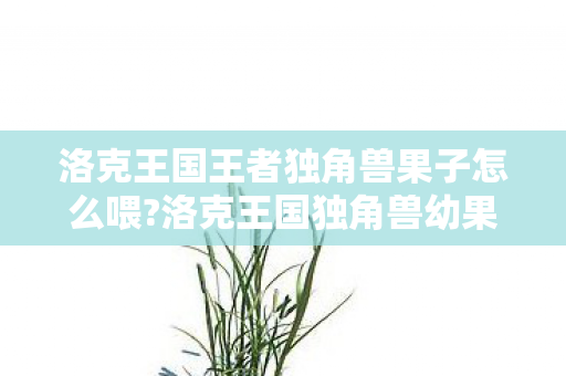 洛克王国王者独角兽果子怎么喂?洛克王国独角兽幼果的神奇用途