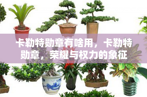 卡勒特勋章有啥用,卡勒特勋章,荣耀与权力的象征 卡勒特勋章有啥用,卡勒特勋章,荣耀与权力的象征