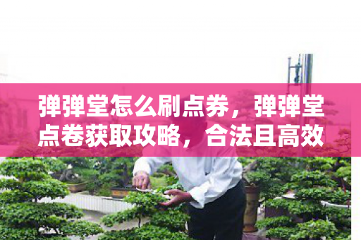 弹弹堂怎么刷点券，弹弹堂点卷获取攻略，合法且高效的方法分享