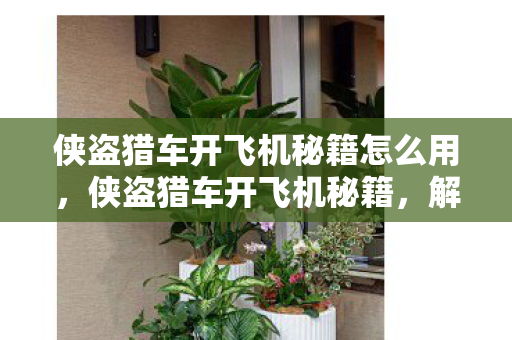 侠盗猎车开飞机秘籍怎么用,侠盗猎车开飞机秘籍,解锁飞行模式,畅游罪恶都市 侠盗猎车开飞机秘籍怎么用,侠盗猎车开飞机秘籍,解锁飞行模式,畅游罪恶都市