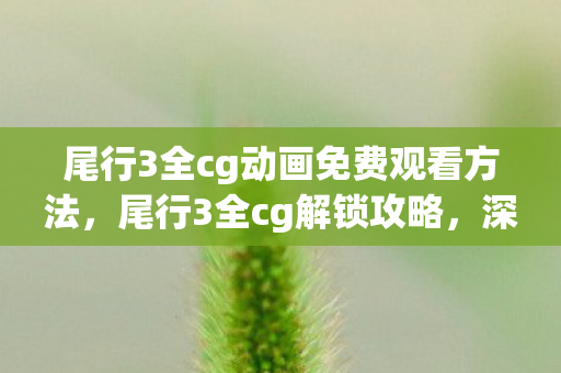 尾行3全cg动画免费观看方法,尾行3全cg解锁攻略,深度解析与体验分享 尾行3全cg动画免费观看方法,尾行3全cg解锁攻略,深度解析与体验分享