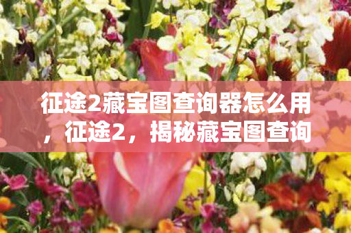 征途2藏宝图查询器怎么用,征途2,揭秘藏宝图查询器,助你寻宝之旅 征途2藏宝图查询器怎么用,征途2,揭秘藏宝图查询器,助你寻宝之旅