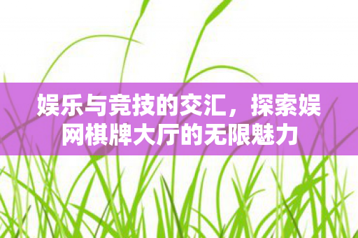 娱乐与竞技的交汇,探索娱网棋牌大厅的无限魅力 娱乐与竞技的交汇,探索娱网棋牌大厅的无限魅力