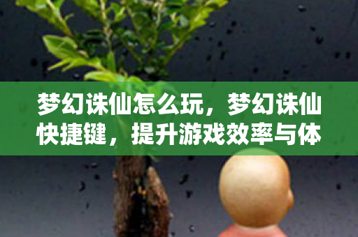 梦幻诛仙怎么玩,梦幻诛仙快捷键,提升游戏效率与体验的关键 梦幻诛仙怎么玩,梦幻诛仙快捷键,提升游戏效率与体验的关键