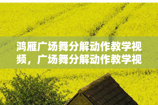 鸿雁广场舞分解动作教学视频,广场舞分解动作教学视频,轻松掌握舞蹈精髓 鸿雁广场舞分解动作教学视频,广场舞分解动作教学视频,轻松掌握舞蹈精髓