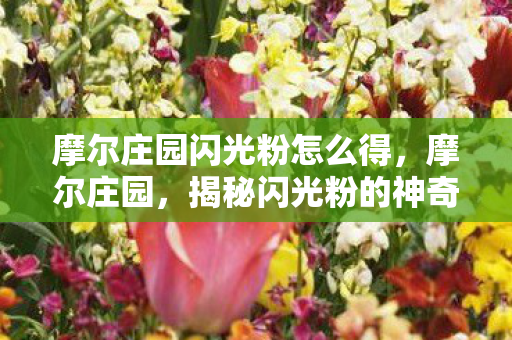 摩尔庄园闪光粉怎么得,摩尔庄园,揭秘闪光粉的神奇魅力 摩尔庄园闪光粉怎么得,摩尔庄园,揭秘闪光粉的神奇魅力