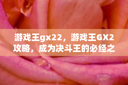 游戏王gx22,游戏王GX2攻略,成为决斗王的必经之路 游戏王gx22,游戏王GX2攻略,成为决斗王的必经之路