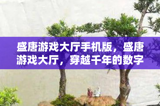 盛唐游戏大厅手机版,盛唐游戏大厅,穿越千年的数字娱乐盛宴 盛唐游戏大厅手机版,盛唐游戏大厅,穿越千年的数字娱乐盛宴