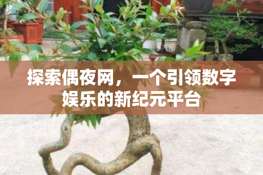 探索偶夜网，一个引领数字娱乐的新纪元平台