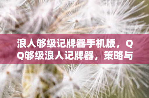 浪人够级记牌器手机版，QQ够级浪人记牌器，策略与智慧的碰撞