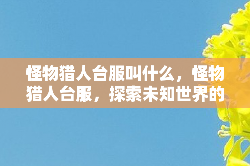 怪物猎人台服叫什么,怪物猎人台服,探索未知世界的冒险之旅 怪物猎人台服叫什么,怪物猎人台服,探索未知世界的冒险之旅