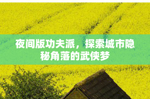 夜间版功夫派,探索城市隐秘角落的武侠梦 夜间版功夫派,探索城市隐秘角落的武侠梦