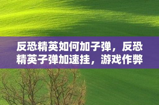 反恐精英如何加子弹,反恐精英子弹加速挂,游戏作弊的灰色地带 反恐精英如何加子弹,反恐精英子弹加速挂,游戏作弊的灰色地带
