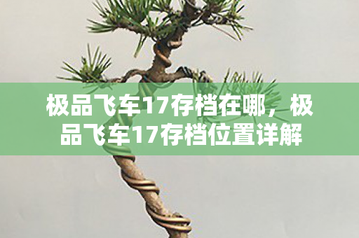极品飞车17存档在哪,极品飞车17存档位置详解 极品飞车17存档在哪,极品飞车17存档位置详解