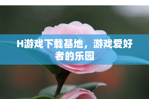 H游戏下载基地,游戏爱好者的乐园 H游戏下载基地,游戏爱好者的乐园