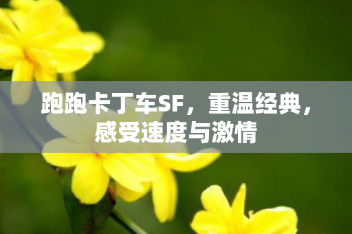跑跑卡丁车SF,重温经典,感受速度与激情 跑跑卡丁车SF,重温经典,感受速度与激情