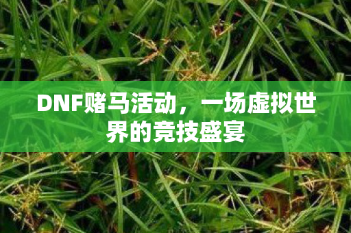 DNF赌马活动,一场虚拟世界的竞技盛宴 DNF赌马活动,一场虚拟世界的竞技盛宴