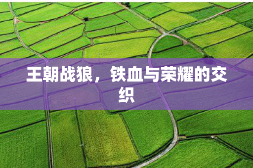 王朝战狼,铁血与荣耀的交织 王朝战狼,铁血与荣耀的交织