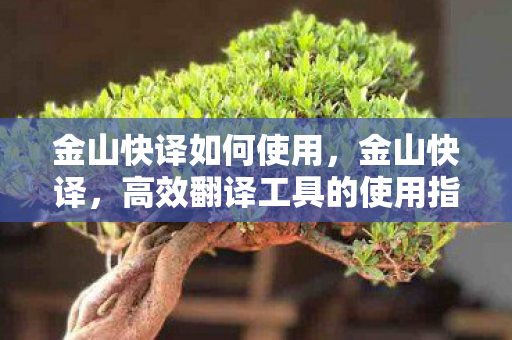 金山快译如何使用,金山快译,高效翻译工具的使用指南 金山快译如何使用,金山快译,高效翻译工具的使用指南