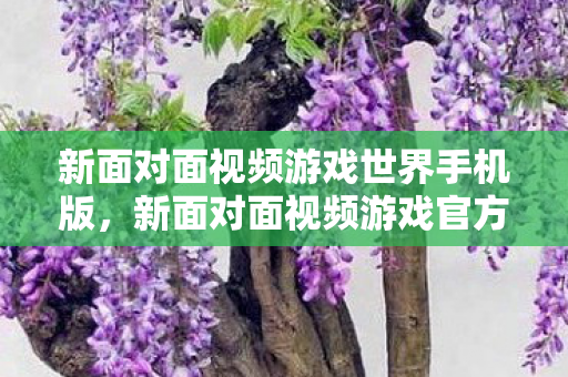 新面对面视频游戏世界手机版，新面对面视频游戏官方下载，探索虚拟世界的奇妙之旅
