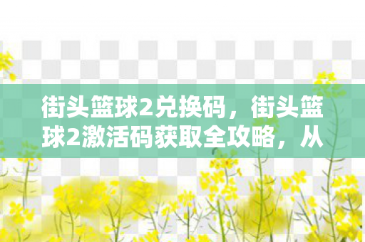 街头篮球2兑换码,街头篮球2激活码获取全攻略,从零开始打造你的篮球梦 街头篮球2兑换码,街头篮球2激活码获取全攻略,从零开始打造你的篮球梦