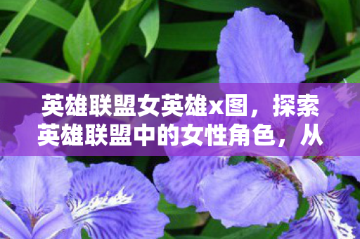 英雄联盟女英雄x图,探索英雄联盟中的女性角色,从邪恶到正义 英雄联盟女英雄x图,探索英雄联盟中的女性角色,从邪恶到正义