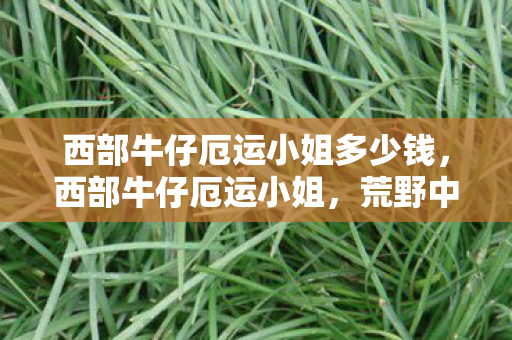 西部牛仔厄运小姐多少钱,西部牛仔厄运小姐,荒野中的孤独行者 西部牛仔厄运小姐多少钱,西部牛仔厄运小姐,荒野中的孤独行者