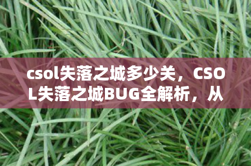 csol失落之城多少关,CSOL失落之城BUG全解析,从游戏机制到玩家应对 csol失落之城多少关,CSOL失落之城BUG全解析,从游戏机制到玩家应对