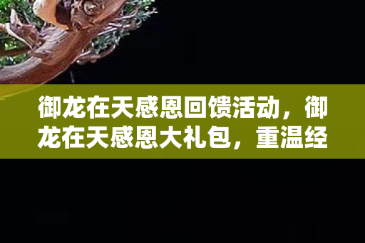 御龙在天感恩回馈活动,御龙在天感恩大礼包,重温经典,共筑回忆 御龙在天感恩回馈活动,御龙在天感恩大礼包,重温经典,共筑回忆