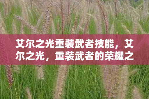 艾尔之光重装武者技能,艾尔之光,重装武者的荣耀之路 艾尔之光重装武者技能,艾尔之光,重装武者的荣耀之路
