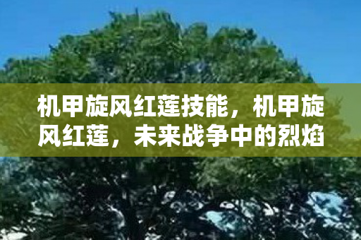 机甲旋风红莲技能,机甲旋风红莲,未来战争中的烈焰使者 机甲旋风红莲技能,机甲旋风红莲,未来战争中的烈焰使者