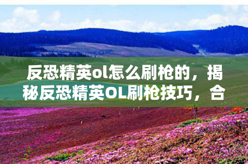 反恐精英ol怎么刷枪的,揭秘反恐精英OL刷枪技巧,合法且高效的获取方式 反恐精英ol怎么刷枪的,揭秘反恐精英OL刷枪技巧,合法且高效的获取方式