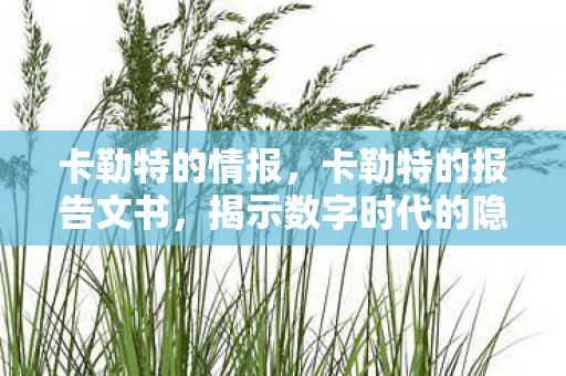 卡勒特的情报,卡勒特的报告文书,揭示数字时代的隐私挑战 卡勒特的情报,卡勒特的报告文书,揭示数字时代的隐私挑战