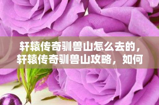 轩辕传奇驯兽山怎么去的,轩辕传奇驯兽山攻略,如何前往驯兽山 轩辕传奇驯兽山怎么去的,轩辕传奇驯兽山攻略,如何前往驯兽山