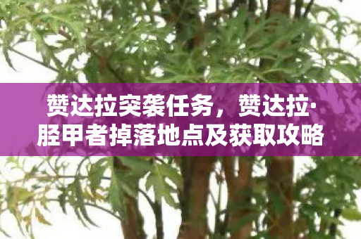 赞达拉突袭任务,赞达拉·胫甲者掉落地点及获取攻略 赞达拉突袭任务,赞达拉·胫甲者掉落地点及获取攻略