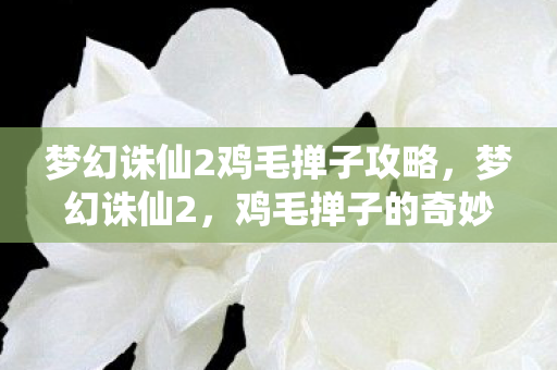 梦幻诛仙2鸡毛掸子攻略,梦幻诛仙2,鸡毛掸子的奇妙冒险 梦幻诛仙2鸡毛掸子攻略,梦幻诛仙2,鸡毛掸子的奇妙冒险