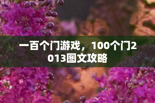 一百个门游戏,100个门2013图文攻略 一百个门游戏,100个门2013图文攻略